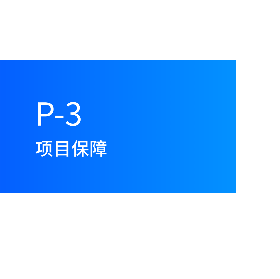 章节导读:项目保障