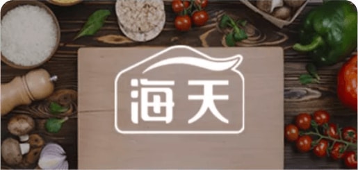 海天集团案例