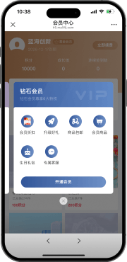 开通付费会员移动端界面
