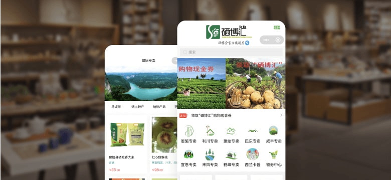 地方特色案例界面