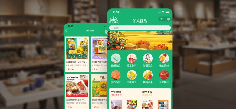 地方特色案例界面