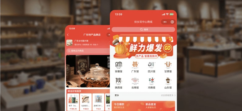 民生政务案例界面