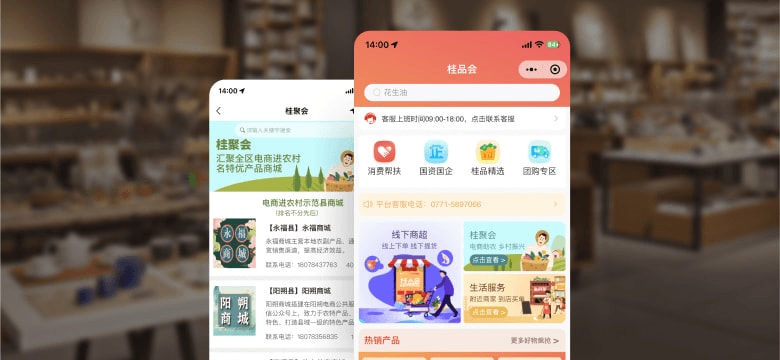 民生政务案例界面