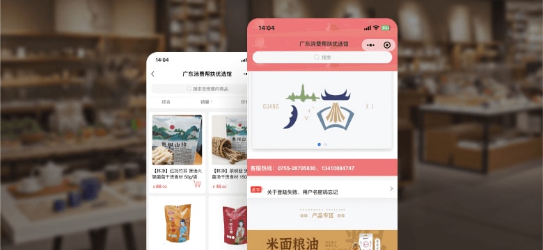 民生政务案例界面